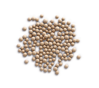 MOLECULAR SIEVE 0.3 NM BEADS CA. 2 MM